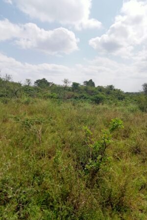 5 Acres at Gatuanyaga