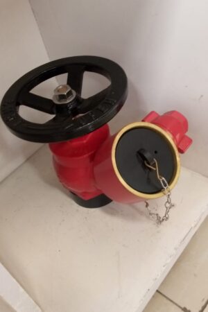 LANDING VALVE/HYDRANT (SCREWED)