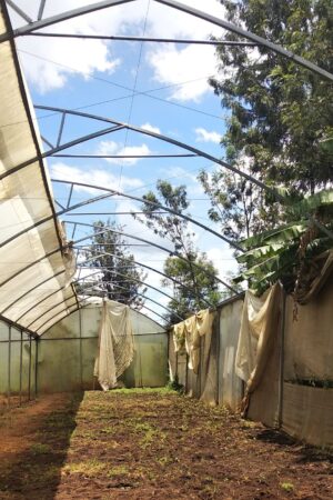 Greenhouse 18x40m Crop Cover