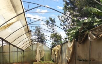 Greenhouse 18x40m Crop Cover