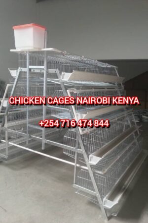 Quality Galvanized chicken cages