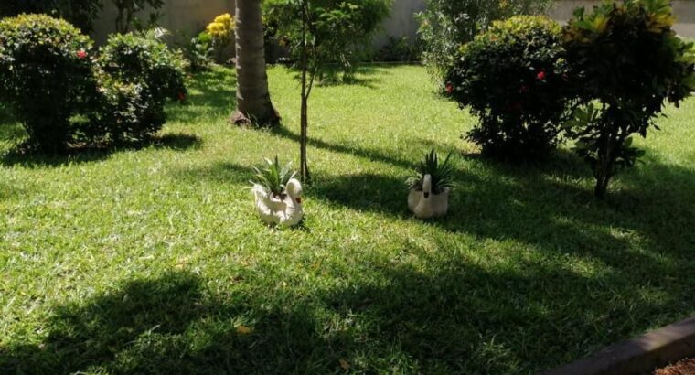 FOR SALE: 2 BEDROOM BUNGALOW(ON A 1/4 ACRE LAND) & 50 METRES FROM THE BEACH-WATAMU/KILIFI