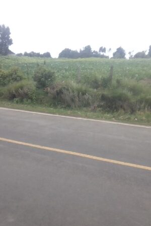 one acre land in magumu location kenyatta road centre kinangop nyandarua county