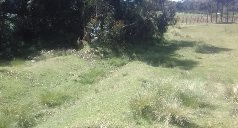 One Acre Land in Githabai Area South Kinangop