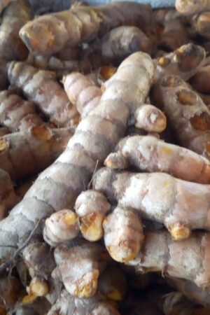 Selling Ginger and Tumeric