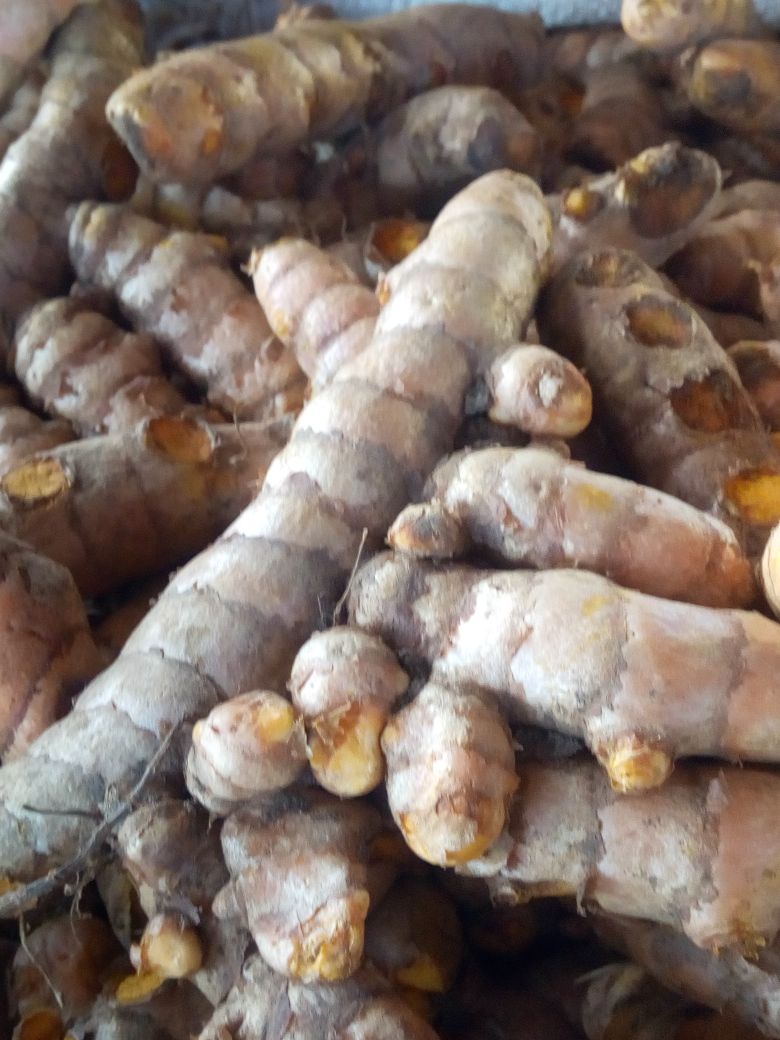 Selling Ginger and Tumeric