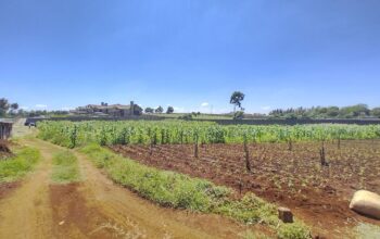 FOR SALE: RUNDA ESTATE-1/2 ACRE PLOTS