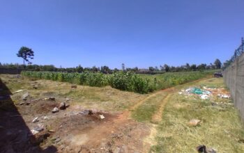 FOR SALE: RUNDA ESTATE- 1/2 ACRE RESIDENTIAL PLOTS