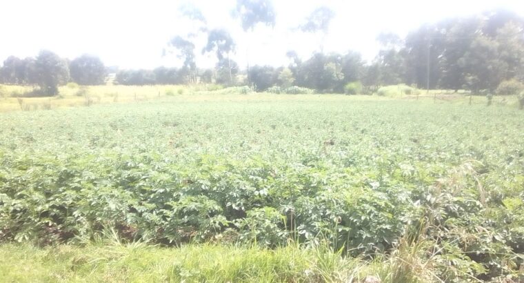 One Acre Land in Magumu Location Kenyatta Road Centre Kinangop Nyandarua