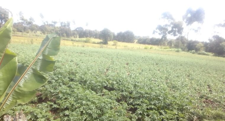 One Acre Land in Magumu Location Kenyatta Road Centre Kinangop Nyandarua