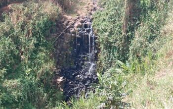 FOR SALE: 15 ACRES- LIMURU REDHILL.